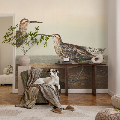 Fototapetas pagal matmenis Fuglesilhuetter