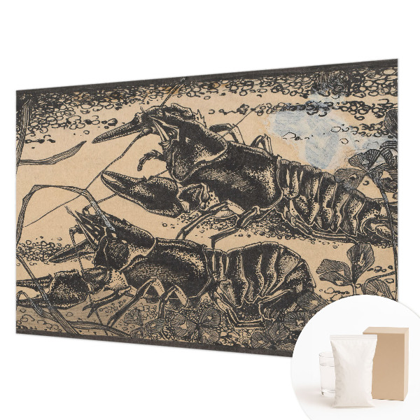 Dekoratyvinis fototapetas Vandkrebsas