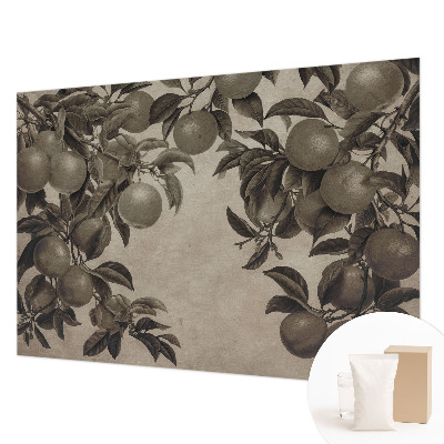 Fototapetas ant sienos su vaisių raštu