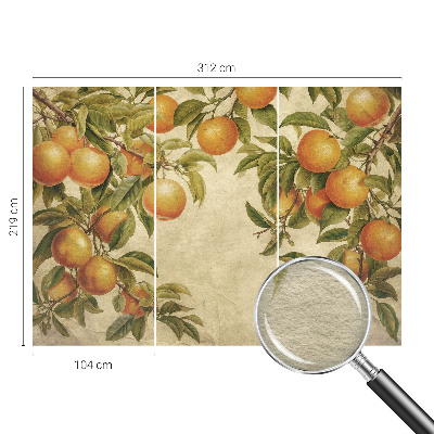 Fototapetas pagal užsakymą Frugtgrene