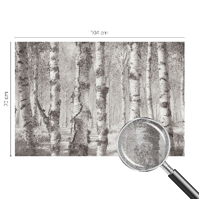 Dekoratyvinis fototapetas Birkeskovas