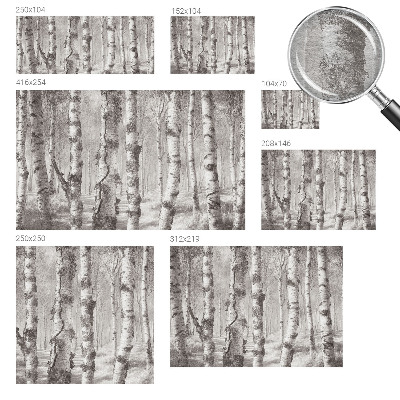 Dekoratyvinis fototapetas Birkeskovas