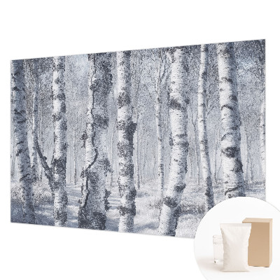 Stilingas fototapetas su natūralia „Frostfyldt“ tekstūra