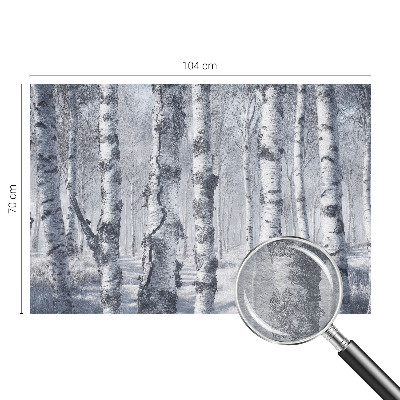 Stilingas fototapetas Natūralus „Frostfyldt“