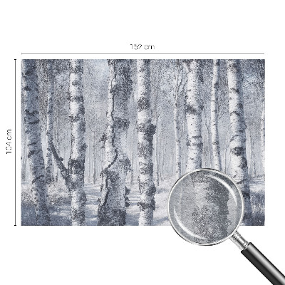 Stilingas fototapetas su natūralia „Frostfyldt“ tekstūra