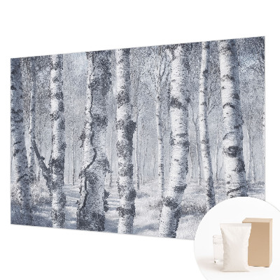 Stilingas fototapetas su natūralia „Frostfyldt“ tekstūra
