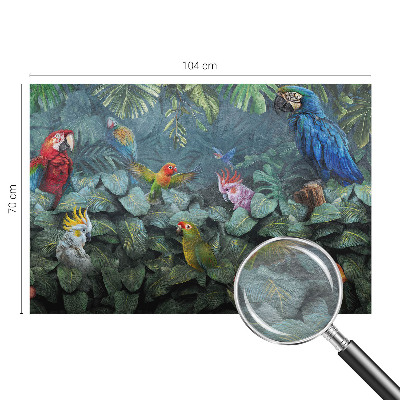 Fototapetas Egzotiškos džiunglės