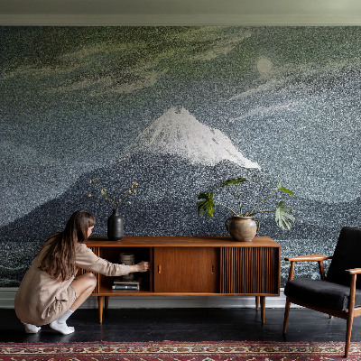 Fototapetas svetainei Månebelyst nat