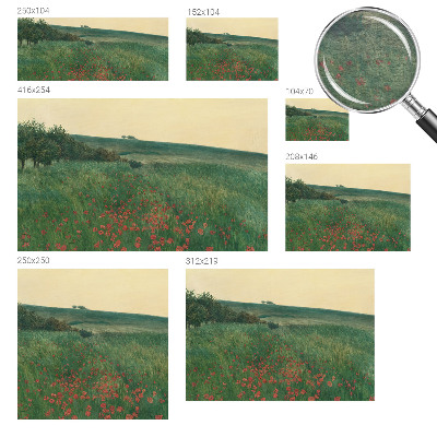 Fototapetas Valmuemarker