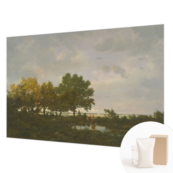 Flizelininis fototapetas Skovlandskabas