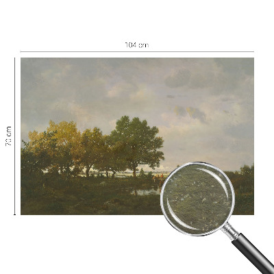 Flizelininis fototapetas Skovlandskabas