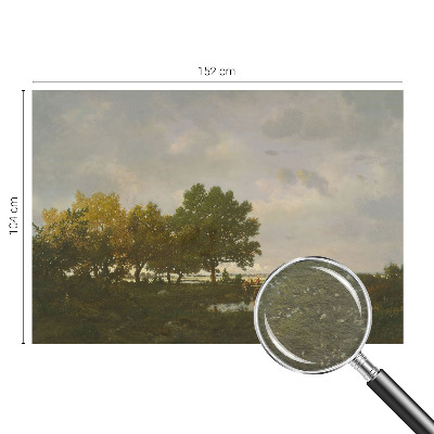 Flizelininis fototapetas Skovlandskabas