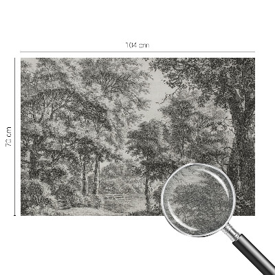 Fototapetas pagal matmenis Skovlandskabas