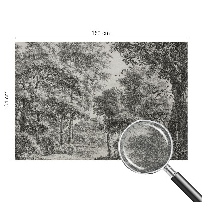 Fototapetas pagal matmenis Skovlandskabas