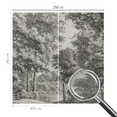 Fototapetas pagal matmenis Skovlandskabas