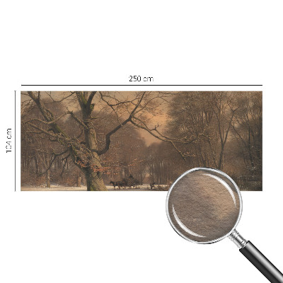 Fototapetas su žiemos šalies motyvu