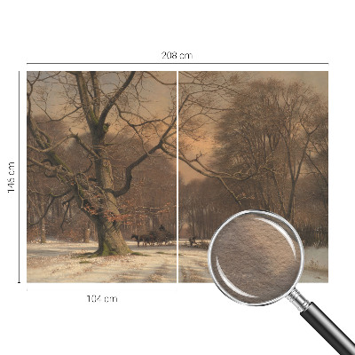 Fototapetas Žiemos šalis