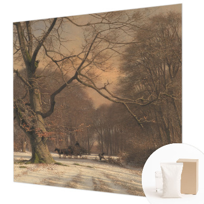 Fototapetas Žiemos šalis