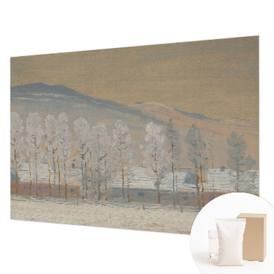 Fototapetas ant sienos Žiemos šalis