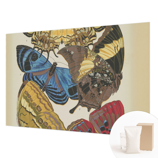 Fototapetas pagal užsakymą Įkvėpimas vasarai