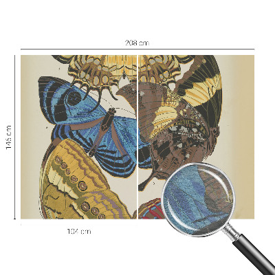 Fototapetas pagal užsakymą Įkvėpimas vasarai