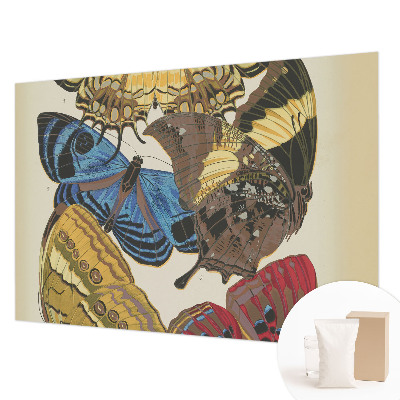 Fototapetas pagal užsakymą Įkvėpimas vasarai