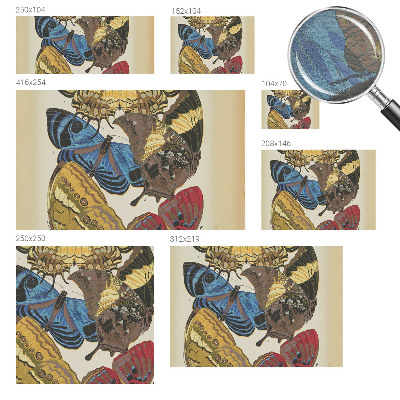 Fototapetas pagal užsakymą Įkvėpimas vasarai