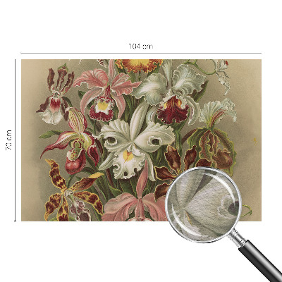 Fototapetas pagal matmenis Blomsteragtig elegancija