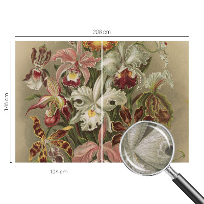 Fototapetas pagal matmenis Blomsteragtig elegancija