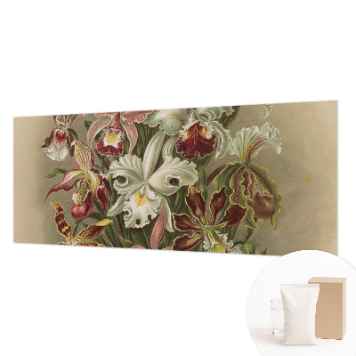 Fototapetas pagal matmenis Blomsteragtig elegancija