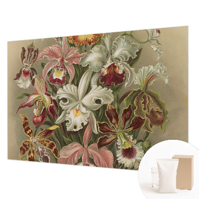 Fototapetas pagal matmenis Blomsteragtig elegancija