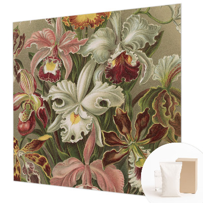 Fototapetas pagal matmenis Blomsteragtig elegancija