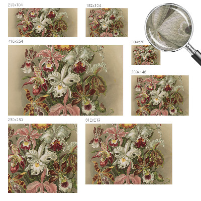 Fototapetas pagal matmenis Blomsteragtig elegancija