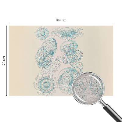 Fototapetas svetainei Havvandmænd