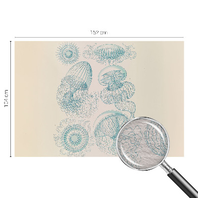 Fototapetas svetainei Havvandmænd