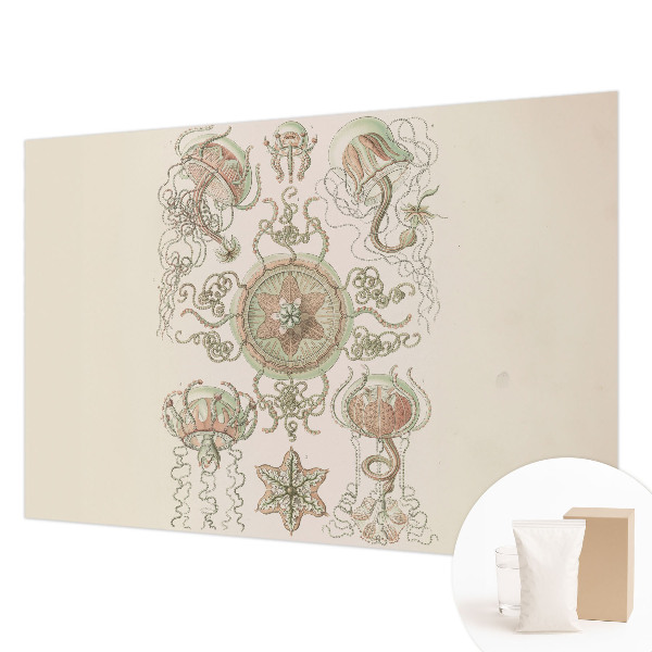 Fototapetas miegamajam Undervandsverden