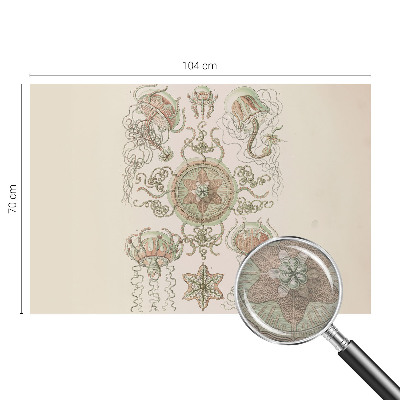 Fototapetas miegamajam Undervandsverden