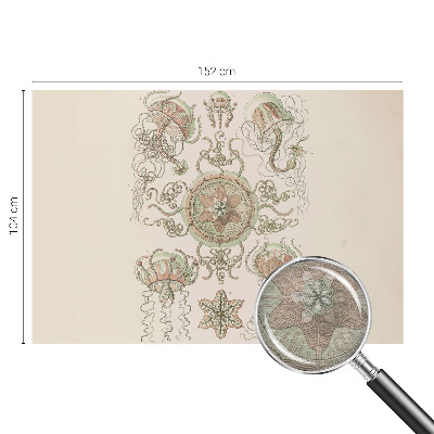 Fototapetas miegamajam Undervandsverden