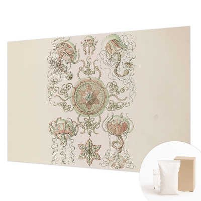 Fototapetas miegamajam Undervandsverden