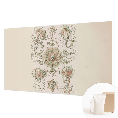 Fototapetas miegamajam Undervandsverden