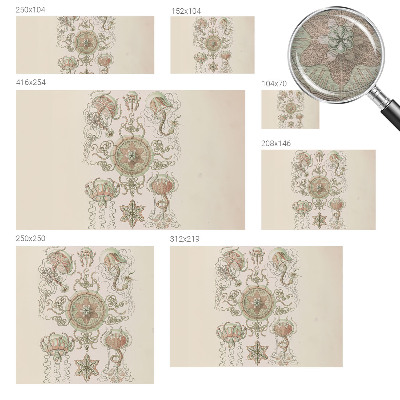 Fototapetas miegamajam Undervandsverden