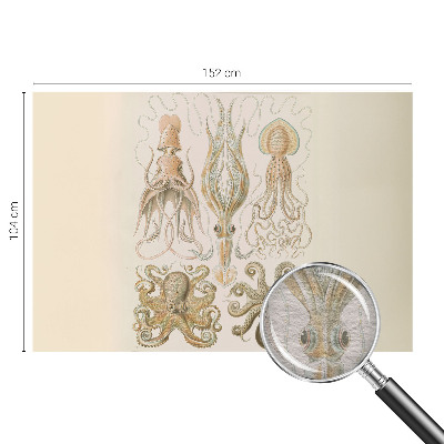 Modernus fototapetas Havlivas