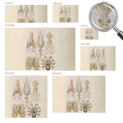 Modernus fototapetas Havlivas