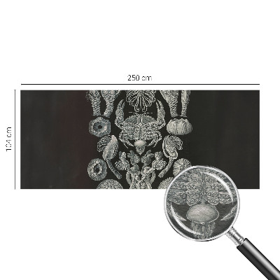 Aukštos kokybės fototapetas Povandeninis formuotojas