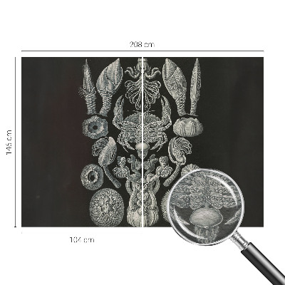 Aukštos kokybės fototapetas Povandeninis formuotojas