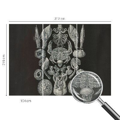 Aukštos kokybės fototapetas Povandeninis formuotojas