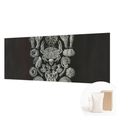 Aukštos kokybės fototapetas Povandeninis formuotojas