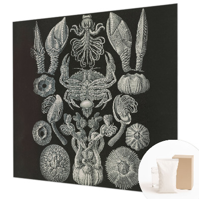 Aukštos kokybės fototapetas Povandeninis formuotojas