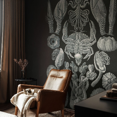 Aukštos kokybės fototapetas Povandeninis formuotojas