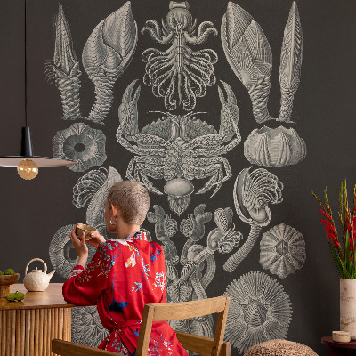 Aukštos kokybės fototapetas Povandeninis formuotojas